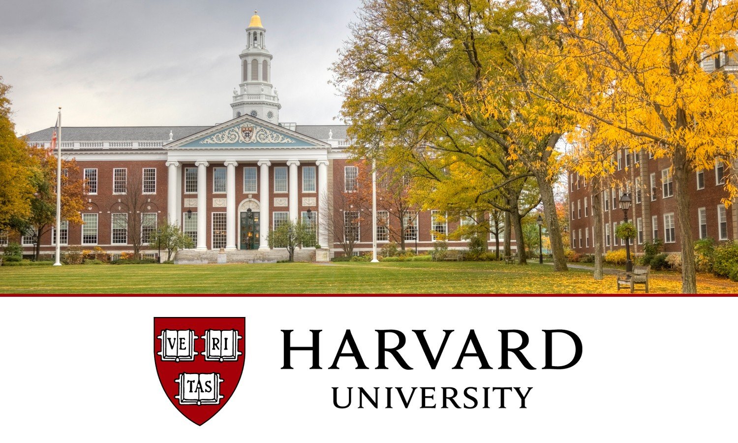 Harvard Universiteti ödənişsiz onlayn dərslər təklif edir
