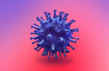 Koronavirusun ilk yarandığı yer müəyyənləşdirildi - İLGİNC